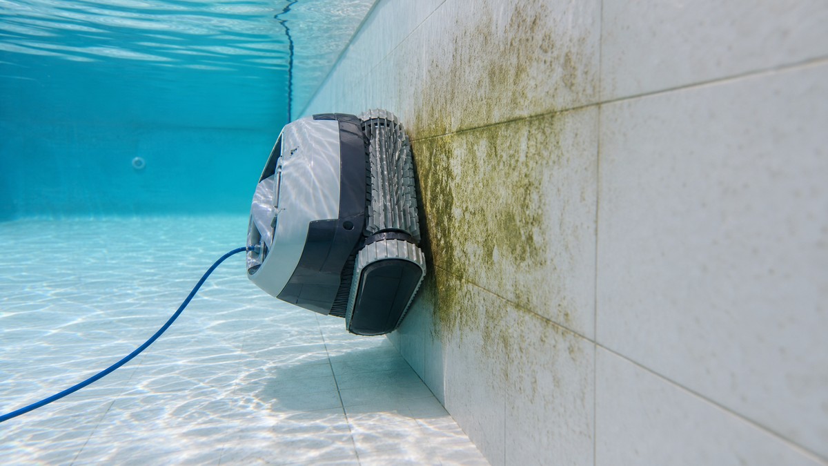 Robot pulitore che slitta sulla parete di una piscina con biofilm verdastro visibile