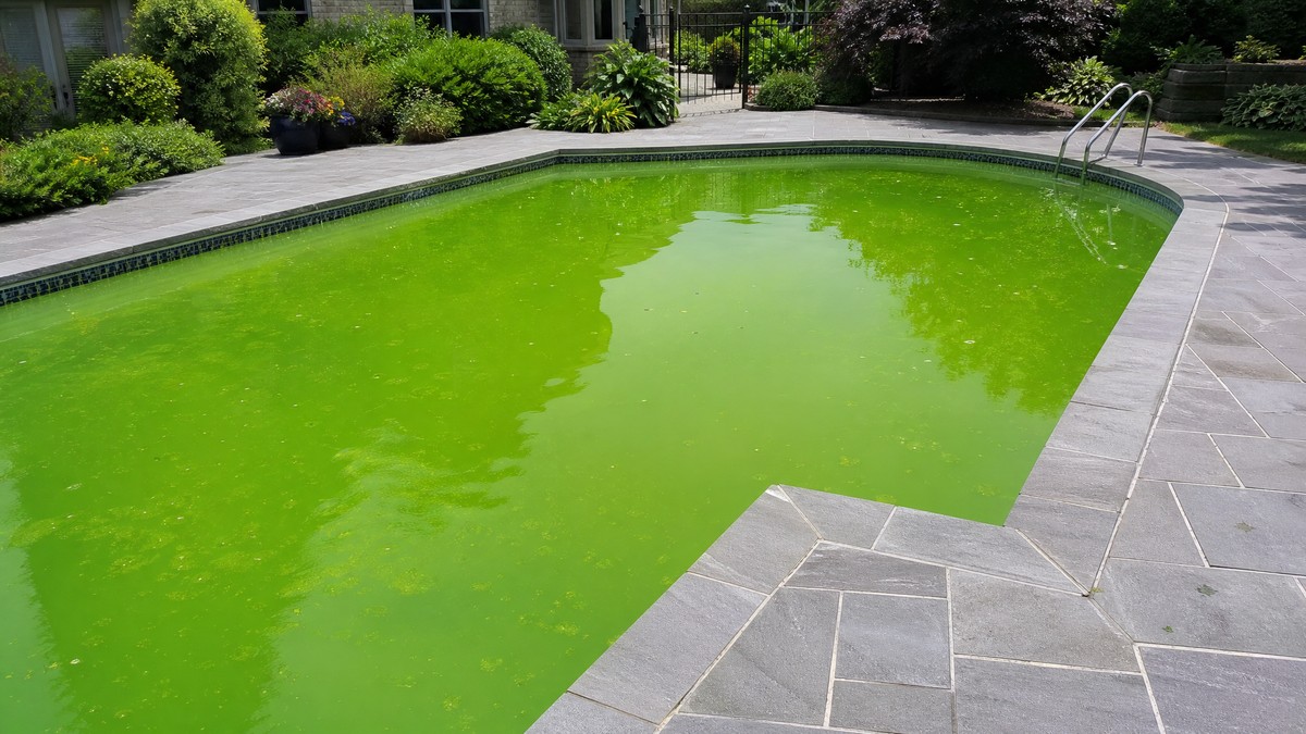 Come recuperare una piscina con acqua verde senza svuotarla: il protocollo di 48 h che funziona davvero